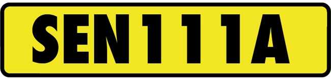 Lot 159 - SEN111A