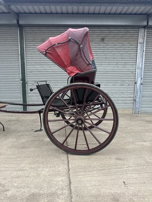 Lot Hooded Gig Horse Carriage