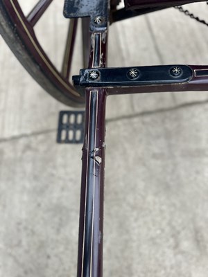 Lot Hooded Gig Horse Carriage