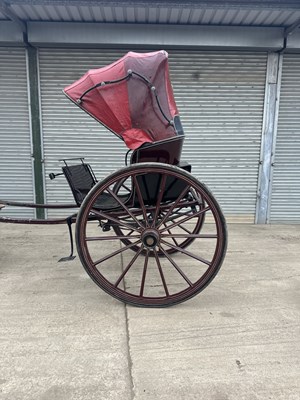 Lot Hooded Gig Horse Carriage