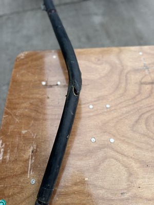 Lot Hooded Gig Horse Carriage