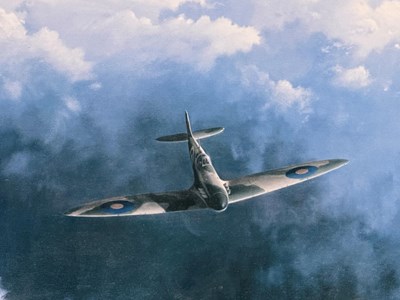 Lot 117 - Evening Flight by Gerald Coulson Print