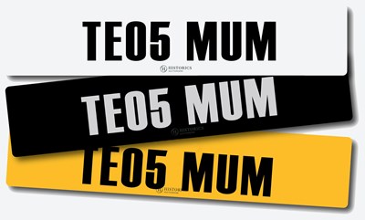 Lot Registration TE05 MUM