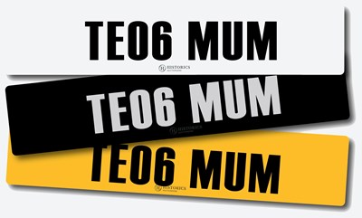 Lot Registration TE06 MUM