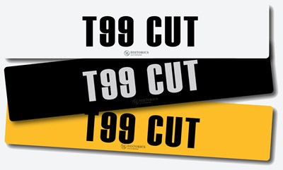Lot Registration T99 CUT