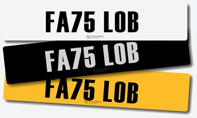 Lot Registration FA75 LOB