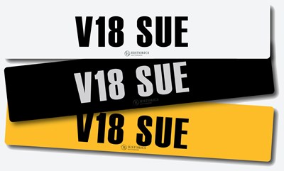 Lot Registration V18 SUE